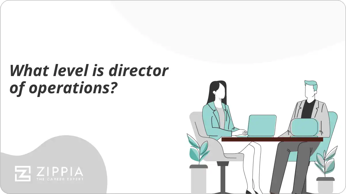 What level is director of operations?