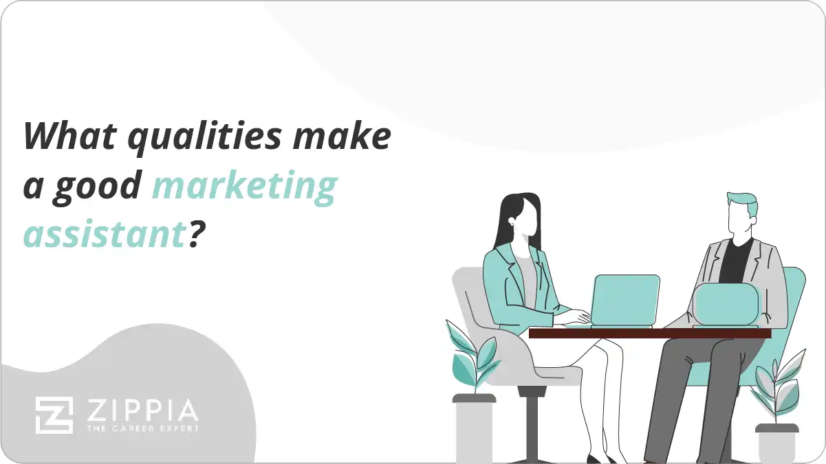 What qualities make a good marketing assistant? Zippia