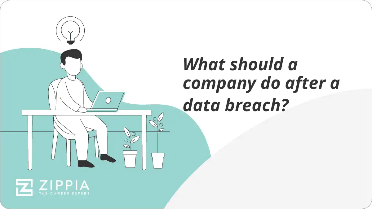 What should a company do after a data breach?