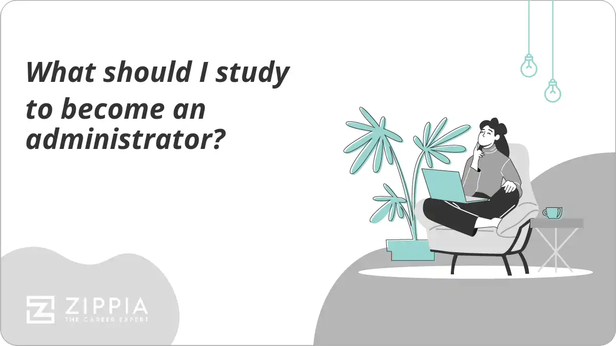 What should I study to become an administrator?