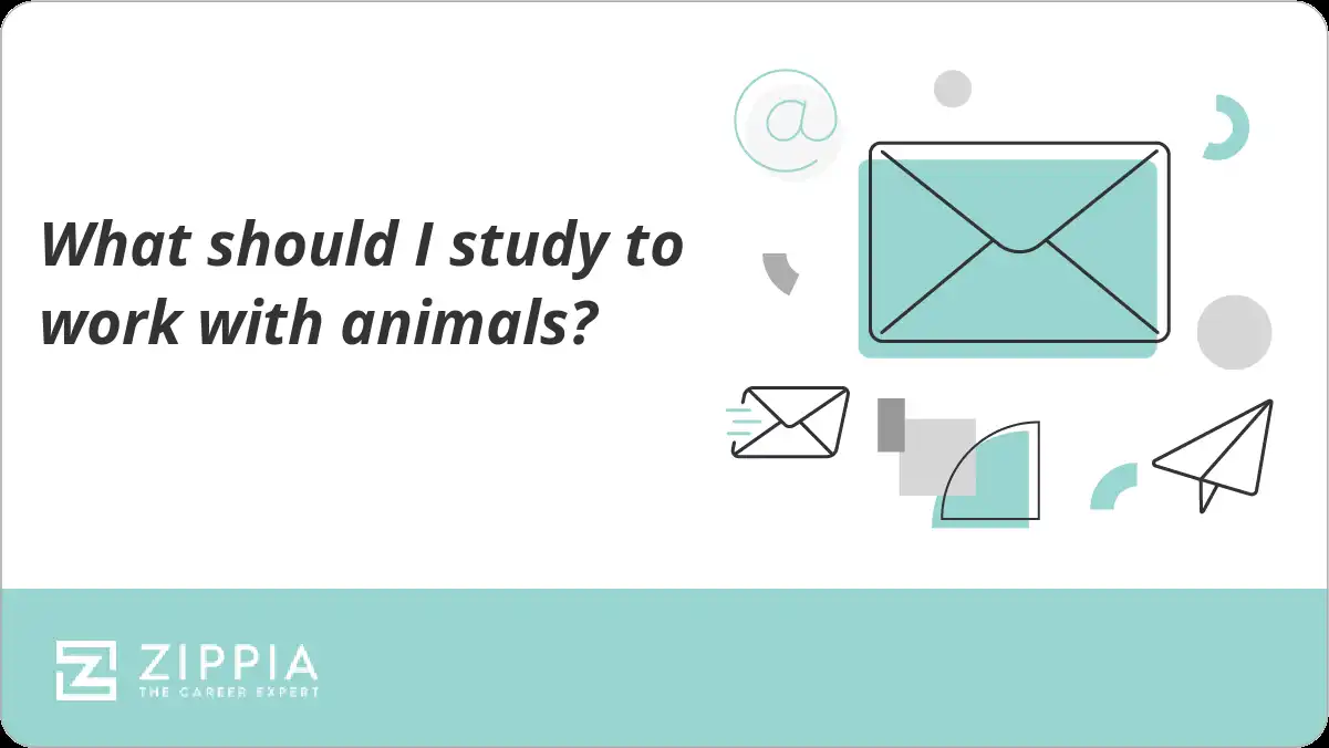What should I study to work with animals?