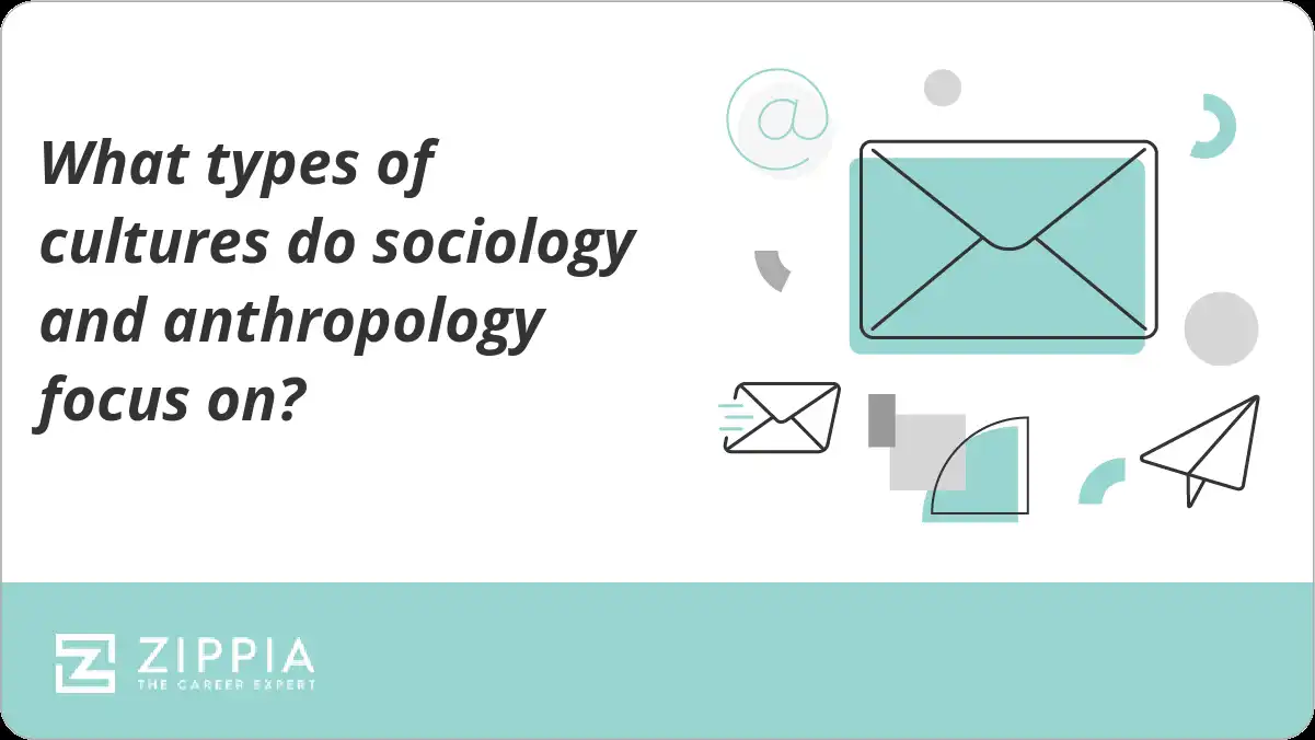 What types of cultures do sociology and anthropology focus on?