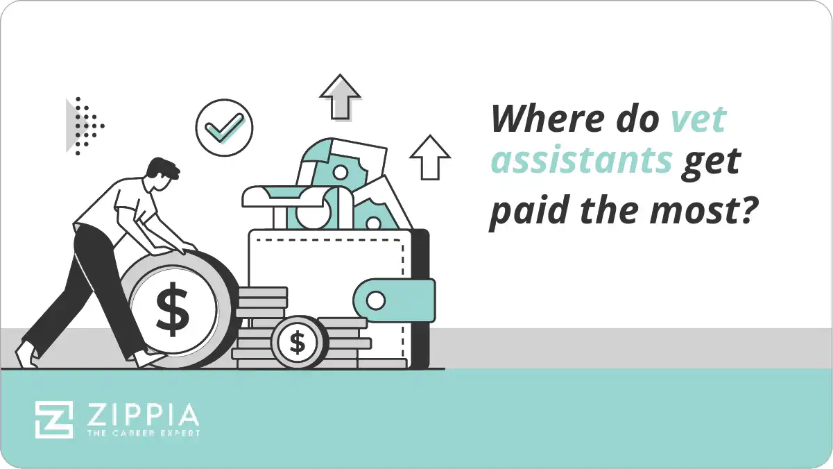 Where do vet assistants get paid the most?