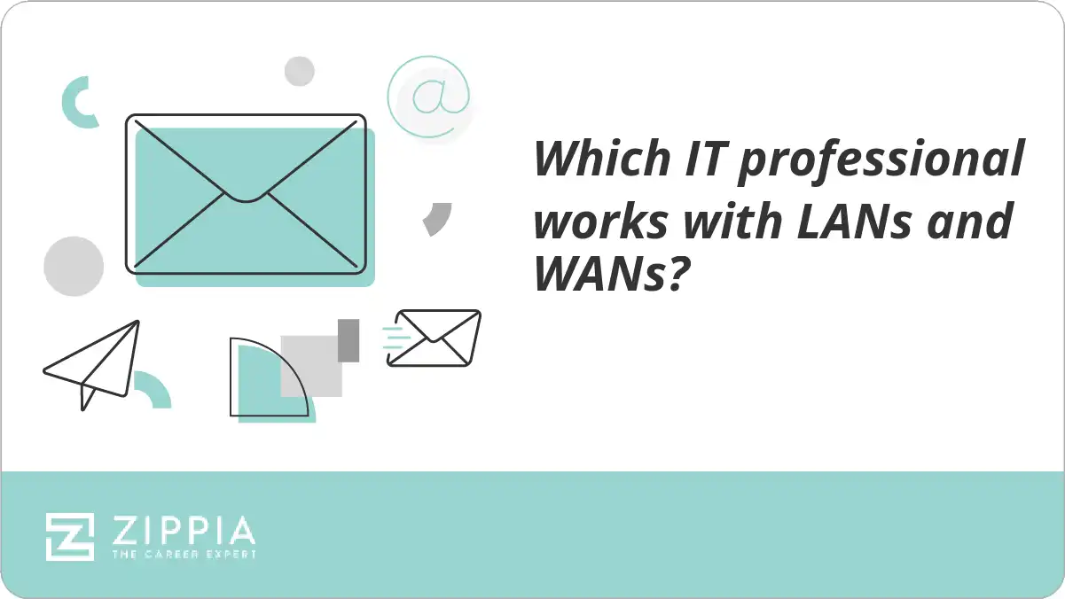 Which IT professional works with LANs and WANs?