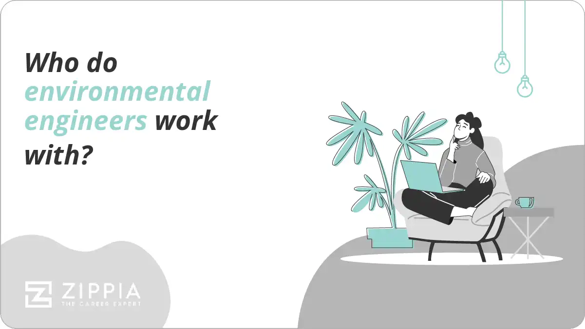 Who do environmental engineers work with?