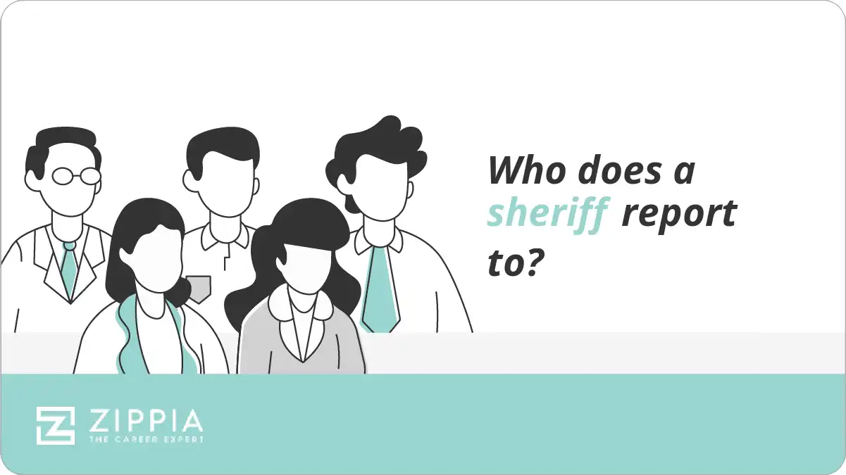 Who does a sheriff report to?