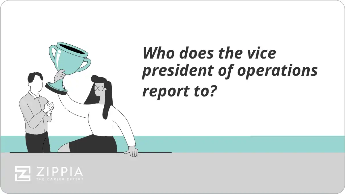 Who does the vice president of operations report to?