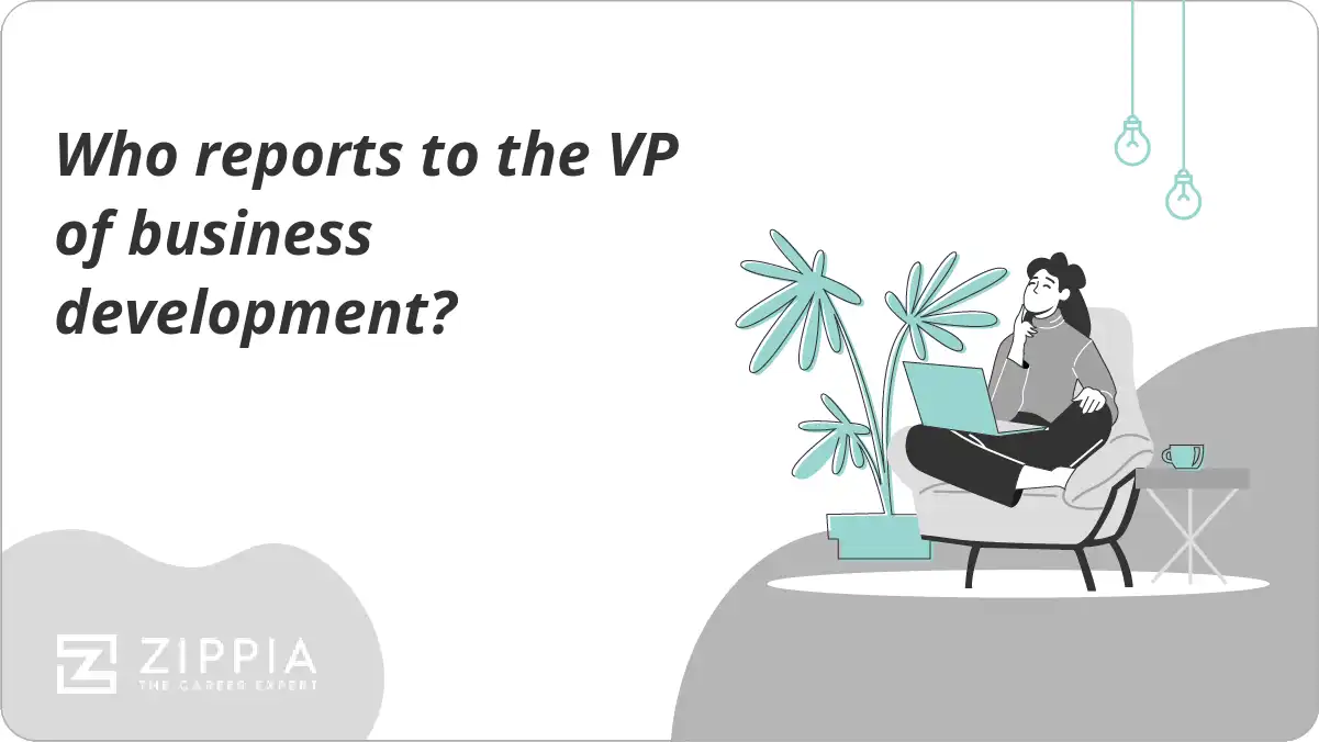 Who reports to the VP of business development?