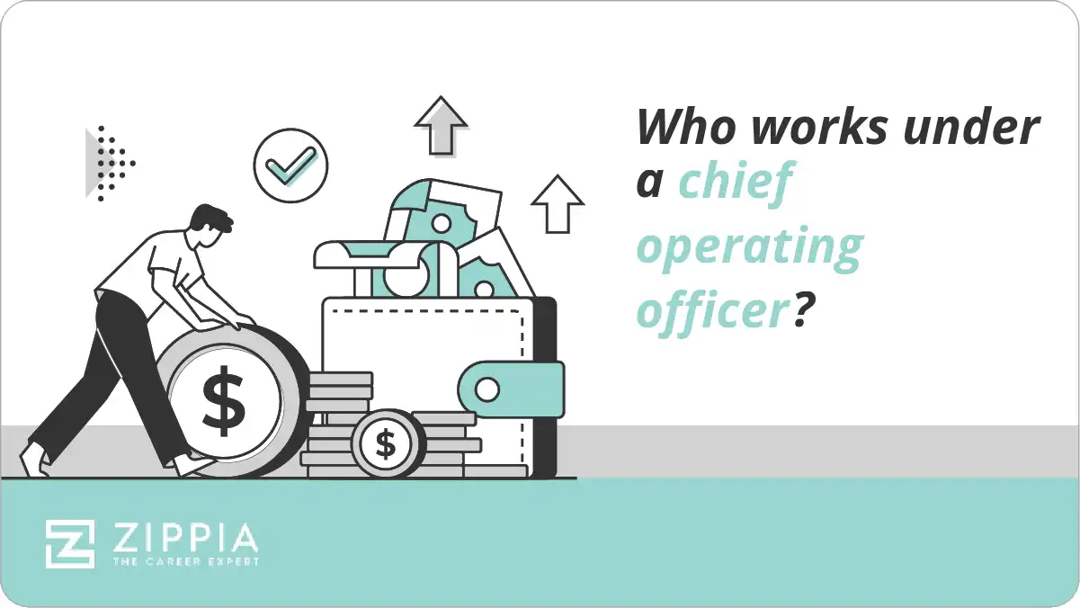 Who works under a chief operating officer?