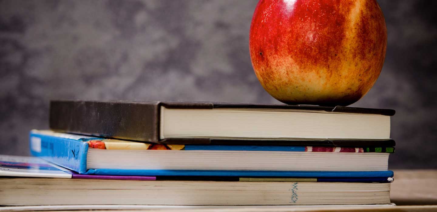 gallup mckinley county school
