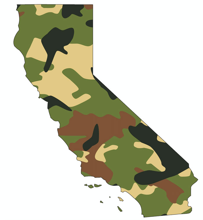 California State